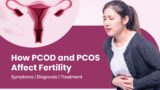 yoga for pcod pcos