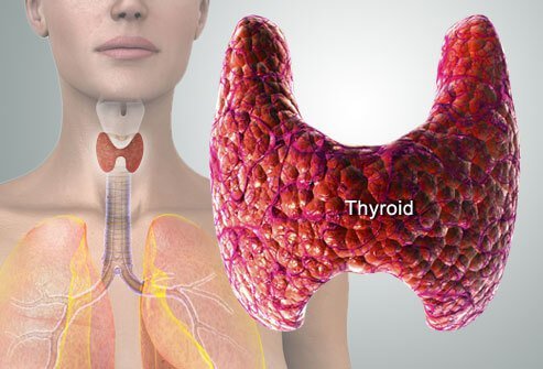 Yoga Harmony for Thyroid Vitality